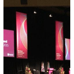 Plenary Banner Vinyl 1.5mWx5mmH