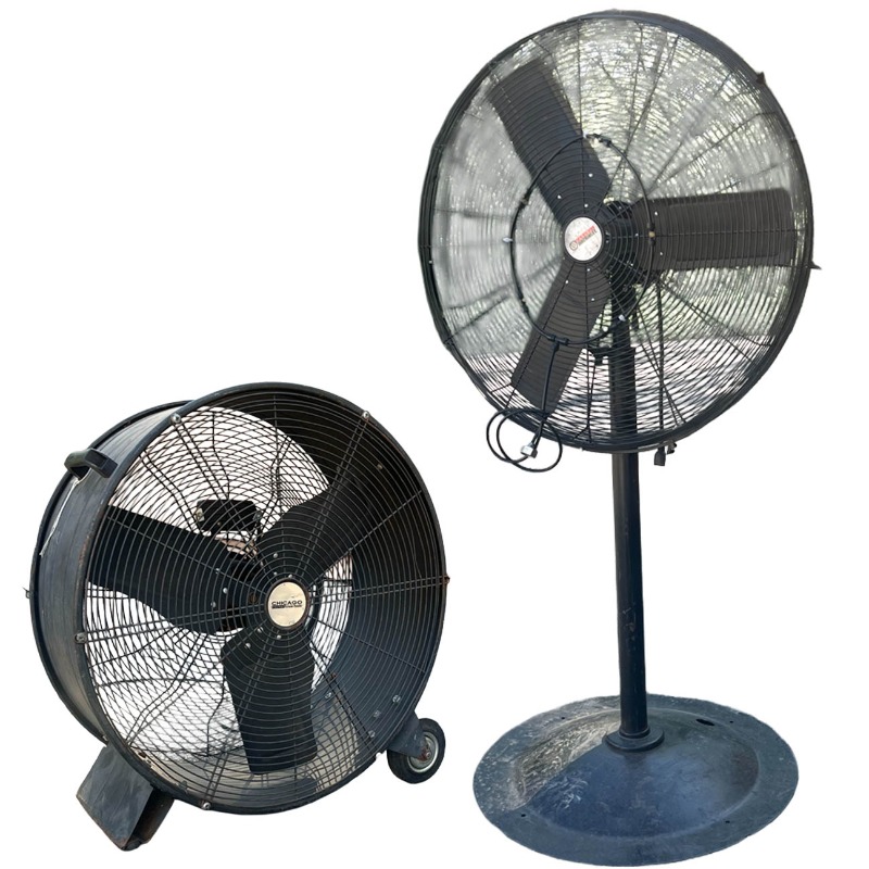 FANS