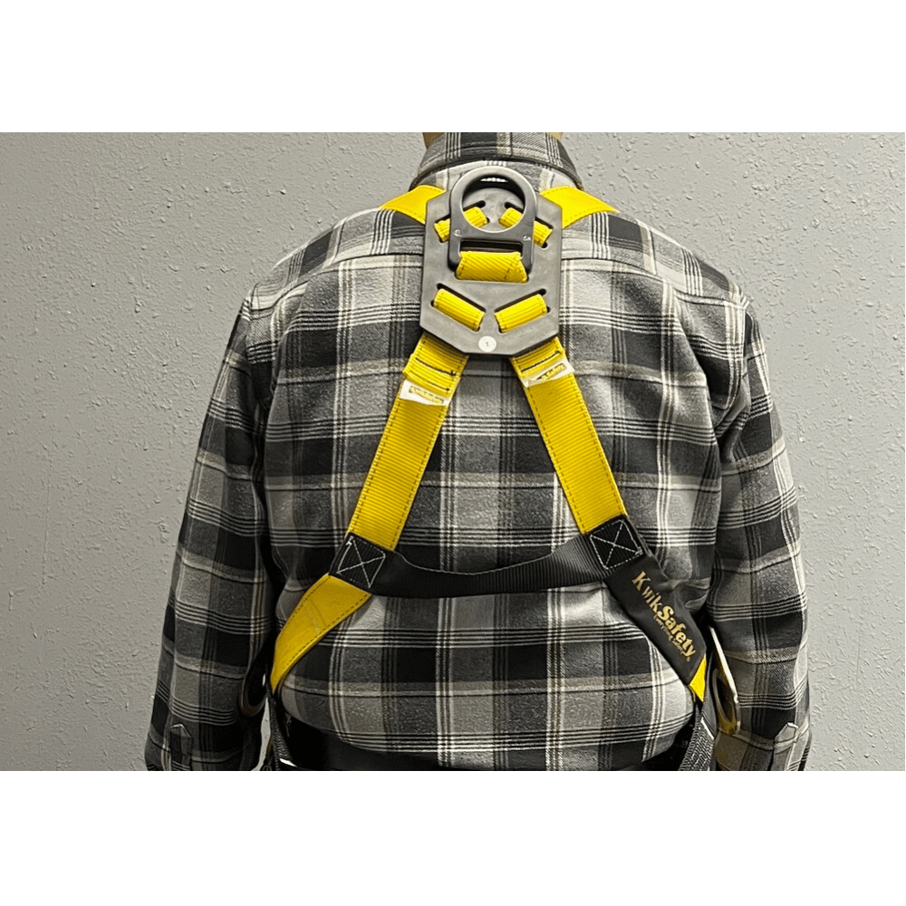 Harness, Full Body